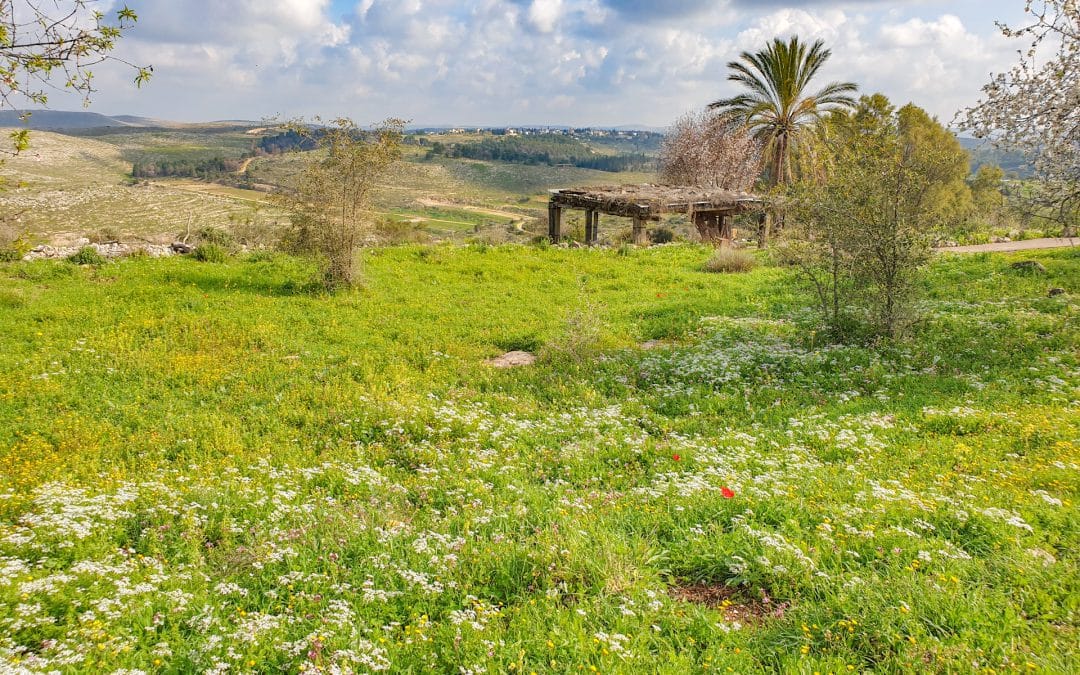 Best 3 Biblical Gardens in Israel