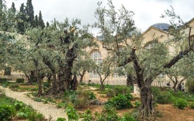 What is the meaning of Gethsemane?